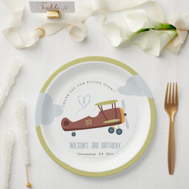 Cute Rust Green Blue Biplane Cloud Heart Birthday Paper Plates (Wedding)