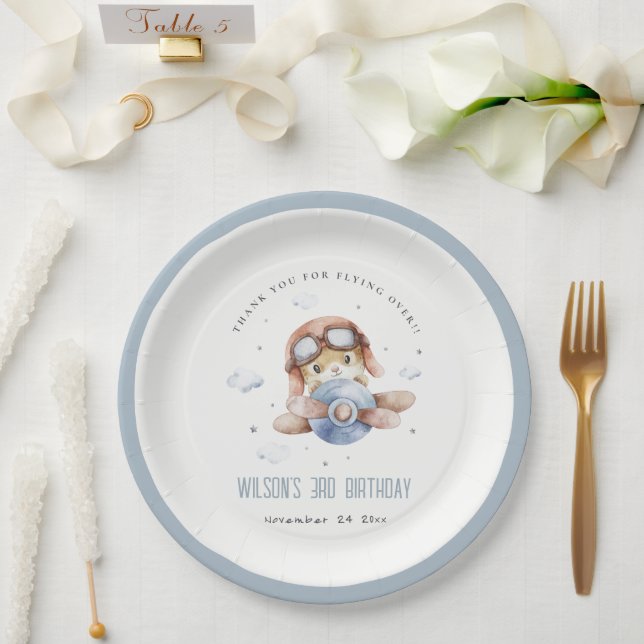 Cute Rust Navy Kids Plane Stars Sky Teddy Birthday Paper Plates (Wedding)