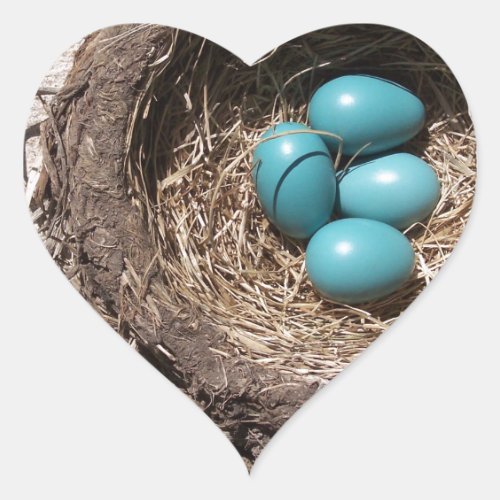 Cute Rustic Birds Nest Blue Robin Eggs Heart Sticker