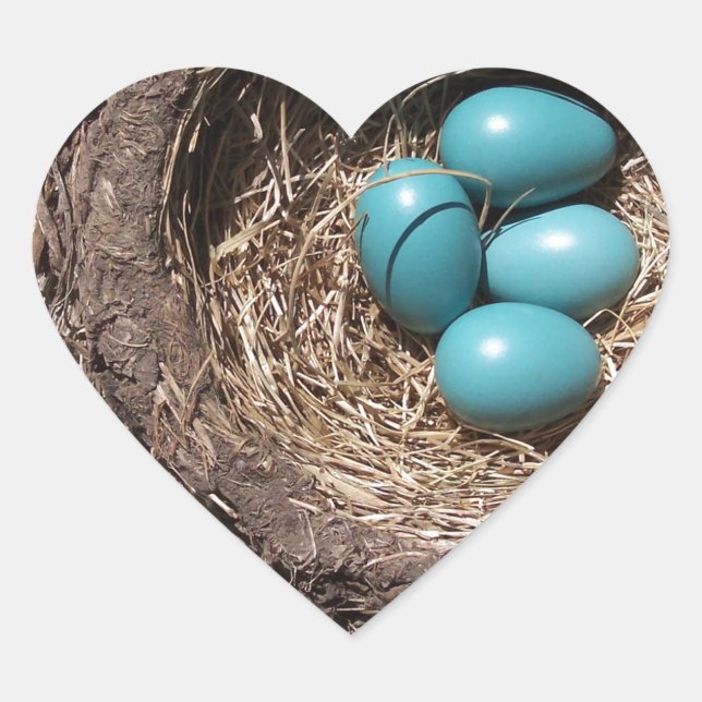 Cute Rustic Bird's Nest Blue Robin Eggs Heart Sticker (Front)