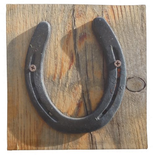 Cute Rustic Western Good Luck Horseshoe Wood Look Cloth Napkin