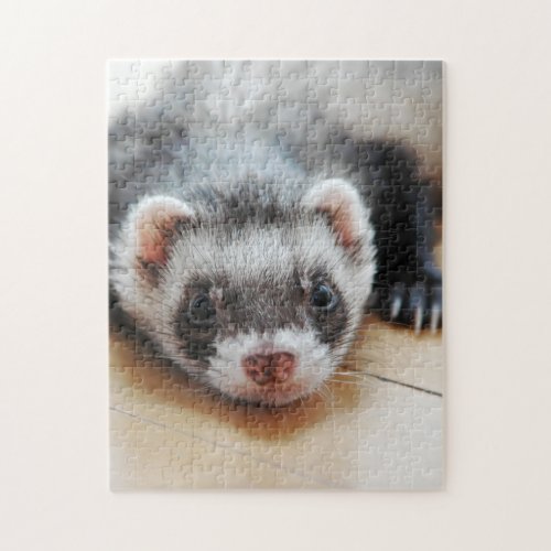 Cute Sable Ferret Jigsaw Puzzle