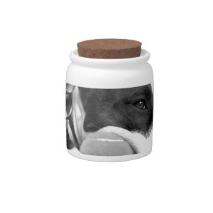 cute sad looking pitbull dog black white with ball candy jar