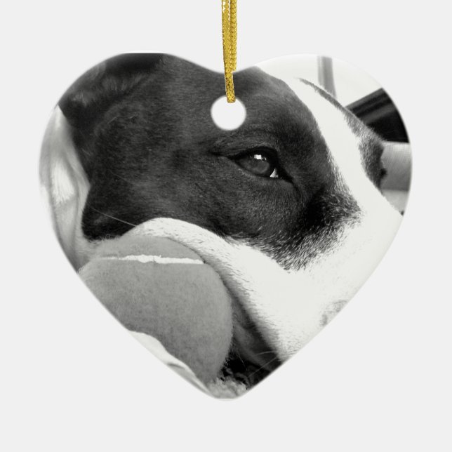cute sad looking pitbull dog black white with ball ceramic ornament (Front)