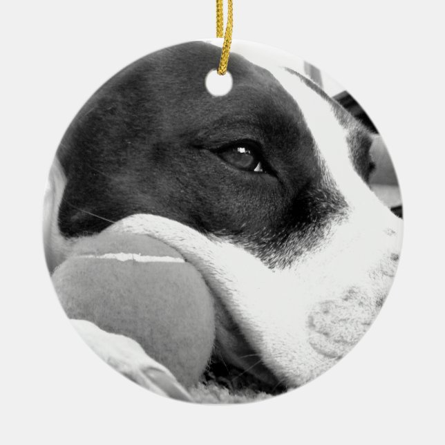 cute sad looking pitbull dog black white with ball ceramic ornament (Front)