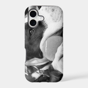 cute sad looking pitbull dog black white with ball iPhone 17 case