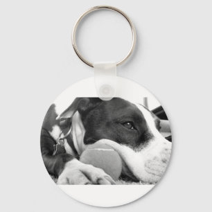 cute sad looking pitbull dog black white with ball keychain