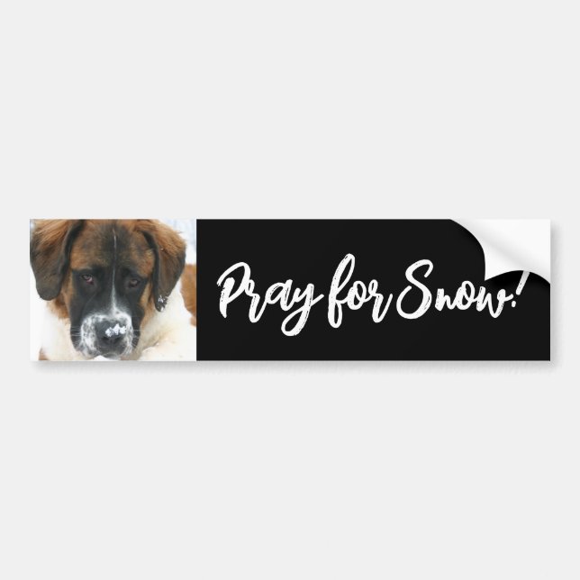 Cute Saint Bernard Pray for Snow! Bumper Sticker (Front)