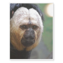 Cute Saki Monkey Temporary Tattoos