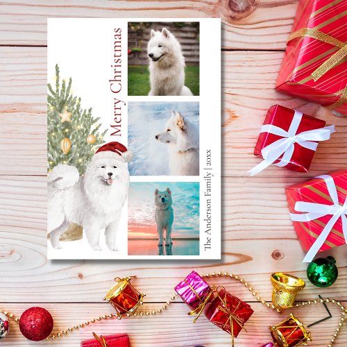 Cute Samoyed Dog and Christmas Tree Pet Photo Holiday Card