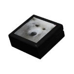 Cute Samoyed Gift Box