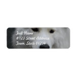 Cute Samoyed Mailing Labels
