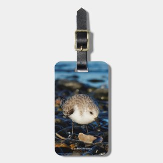 Cute Sanderling Enjoys Seafood Dining at the Beach Luggage Tag