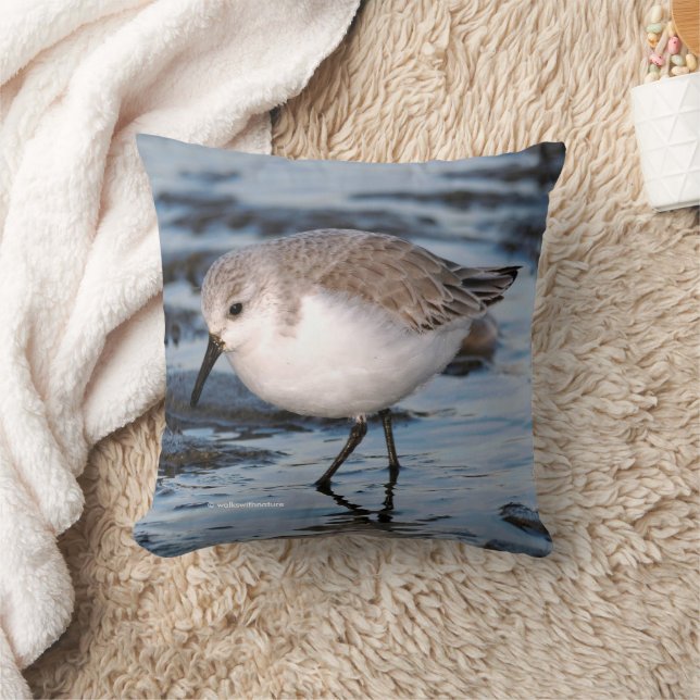 Cute Sanderling Sandpiper at the Winter Beach Throw Pillow (Blanket)