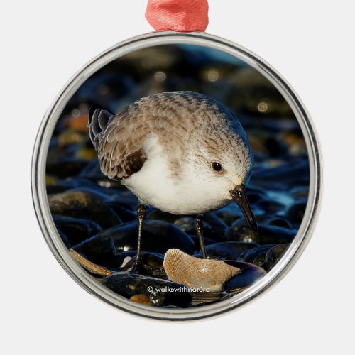 Cute Sanderling Sandpiper Enjoys Seaside Dining Metal Ornament