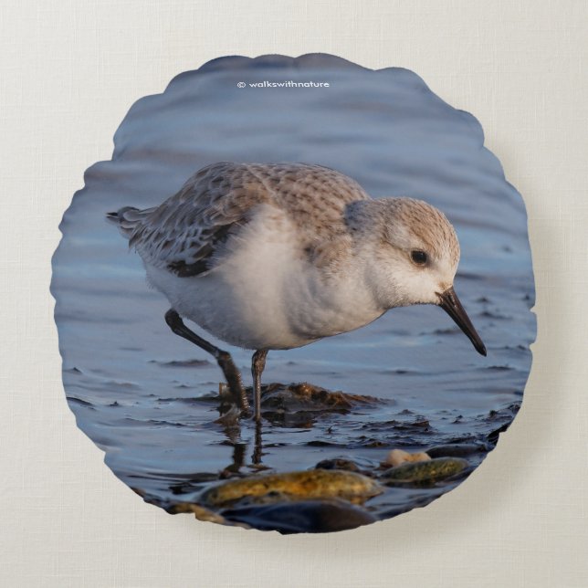 Cute Sanderling Sandpiper Shorebird at the Beach Round Pillow (Front)
