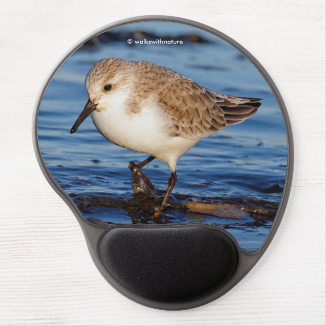 Cute Sanderling Sandpiper Shorebird Wanders Beach Gel Mouse Pad (Front)