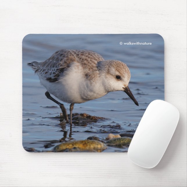 Cute Sanderling Sandpiper Strolling a Winter Beach Mouse Pad (With Mouse)