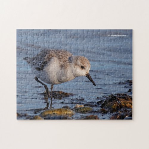 Cute Sanderling Sandpiper Strolling on the Shore Jigsaw Puzzle