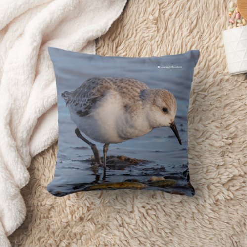 Cute Sanderling Sandpiper Strolling Winter Beach Throw Pillow