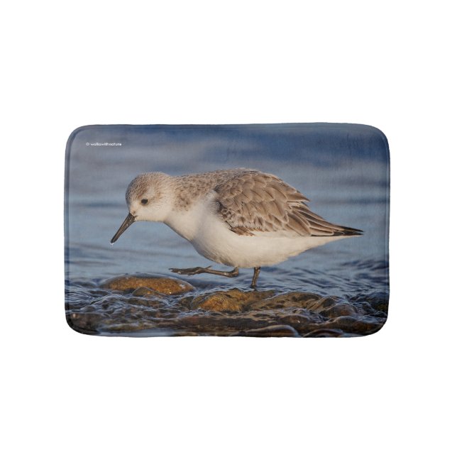 Cute Sanderling Sandpiper Walking Winter Beach Bathroom Mat (Front)