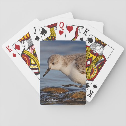 Cute Sanderling Sandpiper Walks Winter Beach Poker Cards