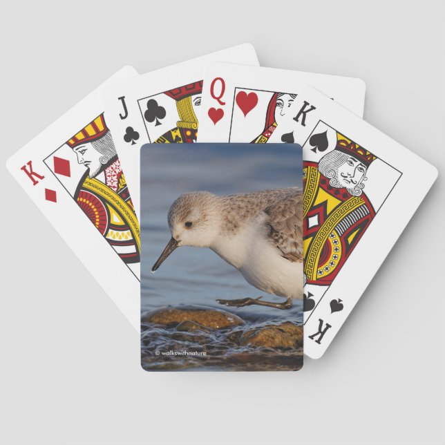 Cute Sanderling Sandpiper Walks Winter Beach Poker Cards (Back)