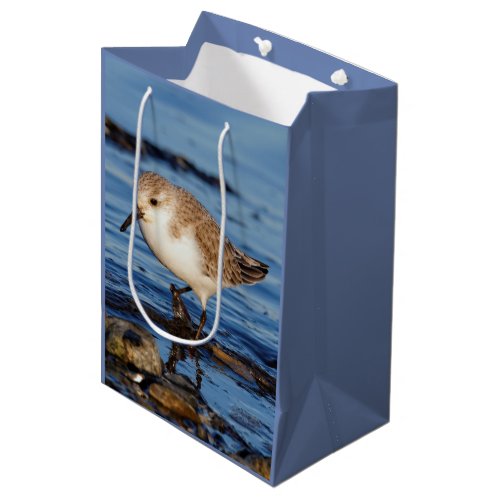 Cute Sanderling Sandpiper Wanders Wintry Shores Medium Gift Bag