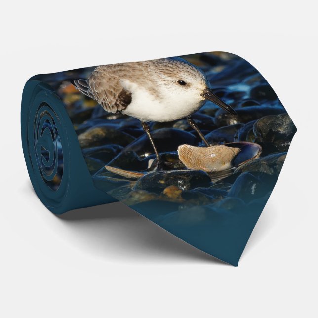 Cute Sanderling Shorebird Dines on Clam at Beach Tie (Rolled)