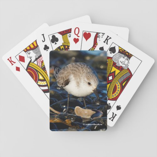Cute Sanderling Shorebird Dines on Clam on Beach Poker Cards