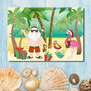 Cute Santa and Tropical Birds Beach Christmas Holiday Card