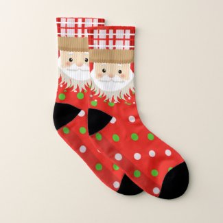 Cute Santa  Celebrating Christmas