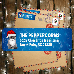 Cute Santa Christmas Cat Blue Return Address Label