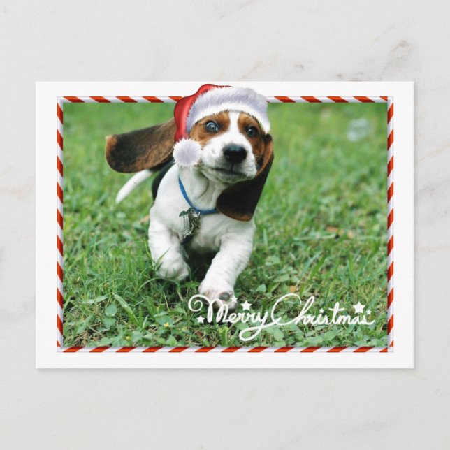Cute Santa Dog Merry Christmas Holiday Postcard (Front)