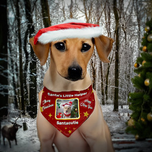Cute Santa Dog Puppy Photo Merry Christmas Red  Pet Bandana Collar