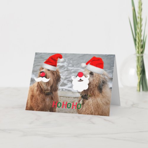 Cute Santa Dogs Christmas greetings Card