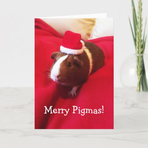 Cute Santa Guinea Pig Christmas Holiday