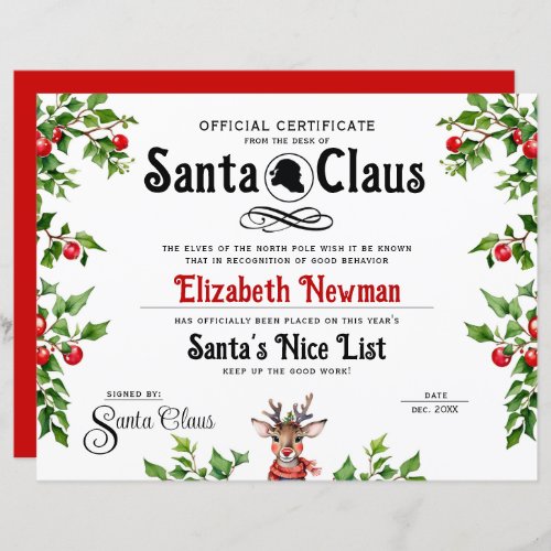 Cute Santa Naughty Nice LIst Official Certificate