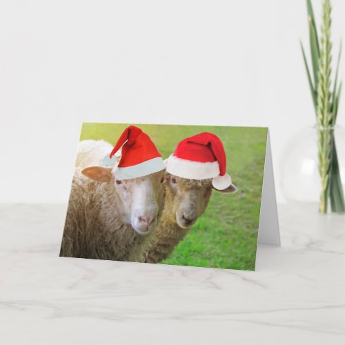 Cute Santa Sheep Christmas Card