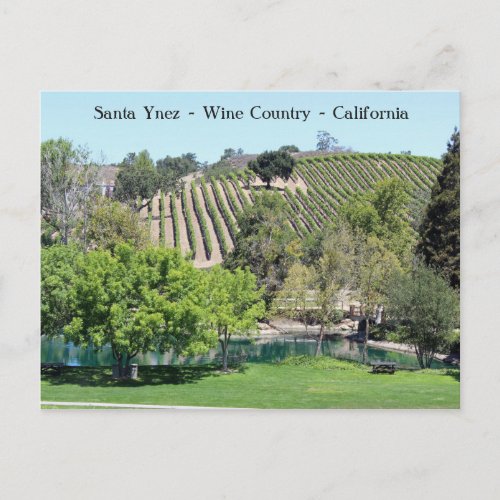 Cute Santa Ynez Wine Country Postcard Postcard
