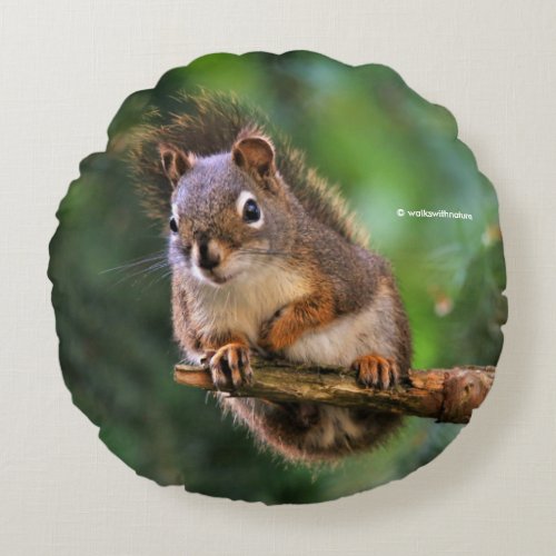 Cute Saucy Red Squirrel in the Fir Round Pillow
