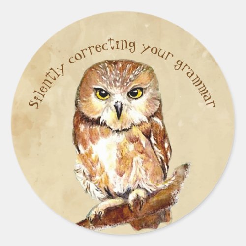 Cute Saw Whet Owl Bird Correcting Grammar Quote  Classic Round Sticker