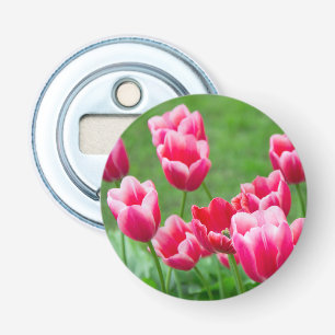 Cute scarlet tulips in the garden bottle opener