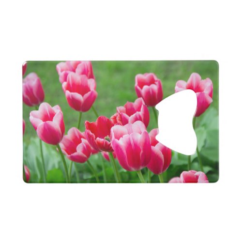 Cute scarlet tulips in the garden credit card bottle opener