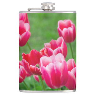Cute scarlet tulips in the garden flask