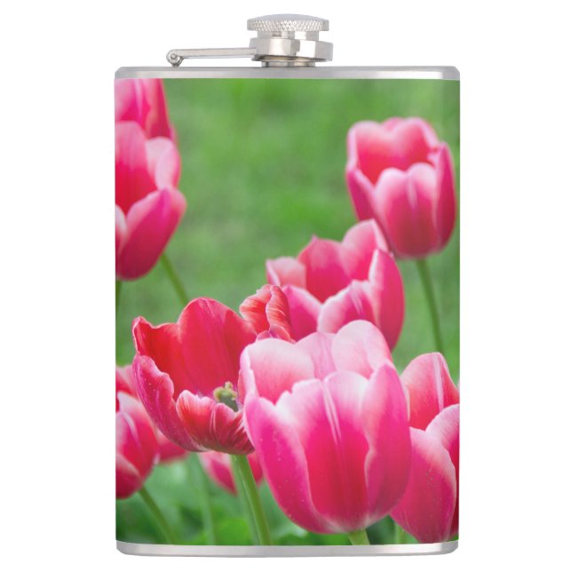 Cute scarlet tulips in the garden flask (Front)
