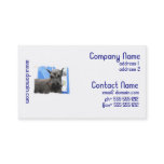Cute Schnauzer Business Cards
