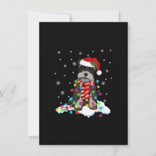cute schnauzer christmas lights with santa hat gif thank you card