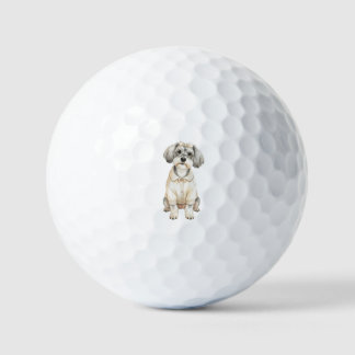 Cute schnauzer long eared dog golf balls