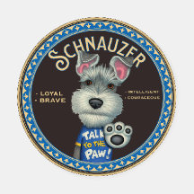 Cute Schnauzer with Attitude